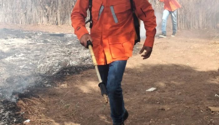 Blog Mais Araripe - Ouricuri