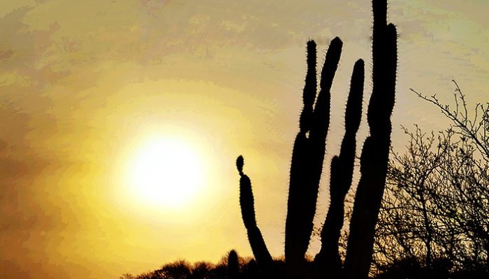 Blog Mais Araripe - Ouricuri