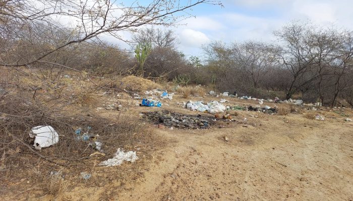 Blog Mais Araripe - Ouricuri