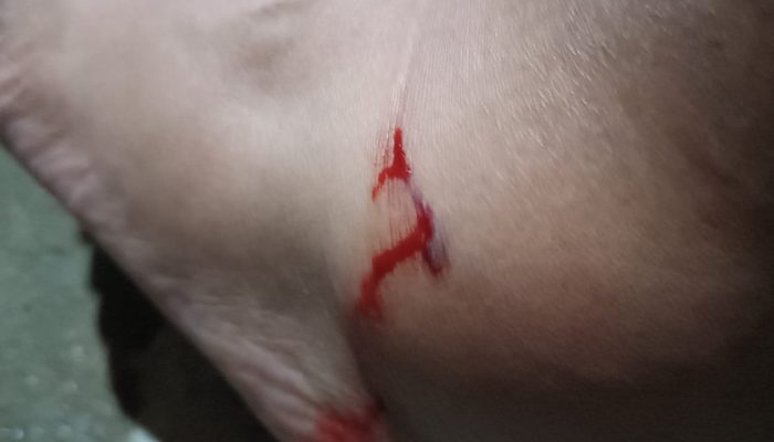 Blog Mais Araripe - Ouricuri