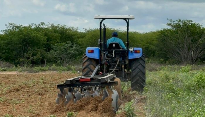 Blog Mais Araripe - Ouricuri