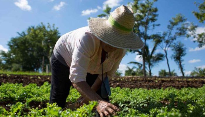 Blog Mais Araripe - Ouricuri