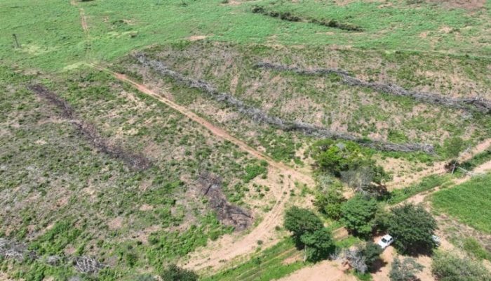 Blog Mais Araripe - Ouricuri