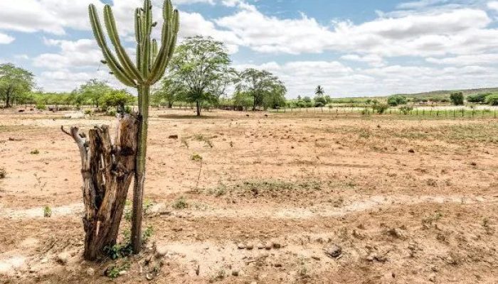 Blog Mais Araripe - Ouricuri