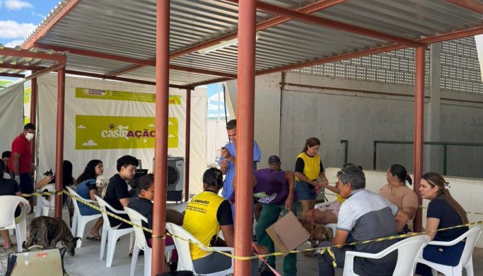 Blog Mais Araripe - Ouricuri