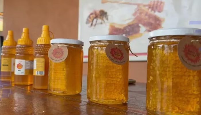 Blog Mais Araripe - Ouricuri
