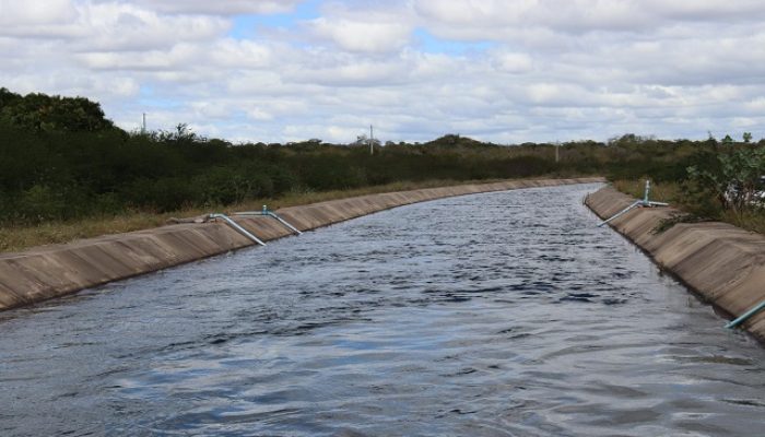Blog Mais Araripe - Ouricuri