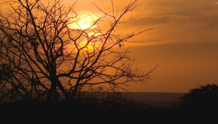 Blog Mais Araripe - Ouricuri